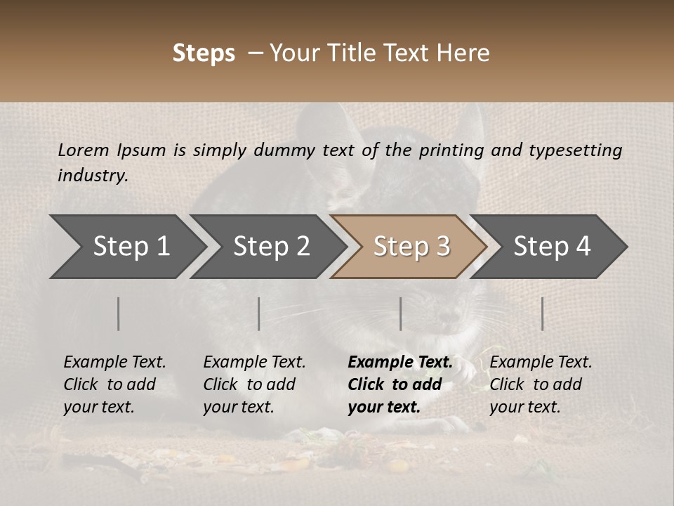 Chinchilla Eats PowerPoint Template