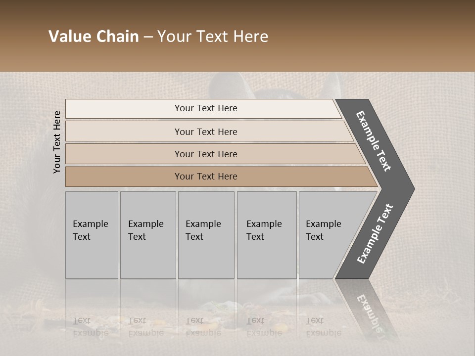 Chinchilla Eats PowerPoint Template