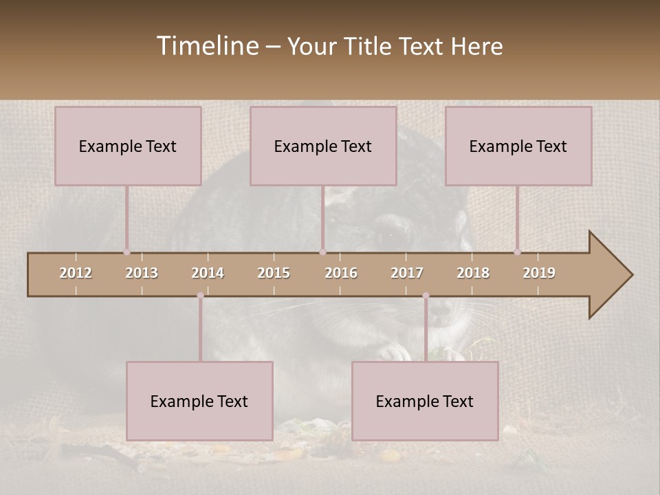 Chinchilla Eats PowerPoint Template