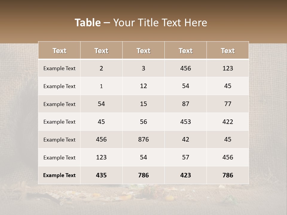 Chinchilla Eats PowerPoint Template