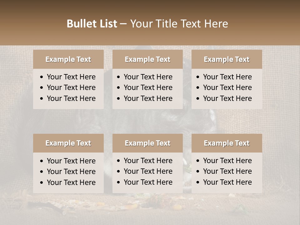 Chinchilla Eats PowerPoint Template