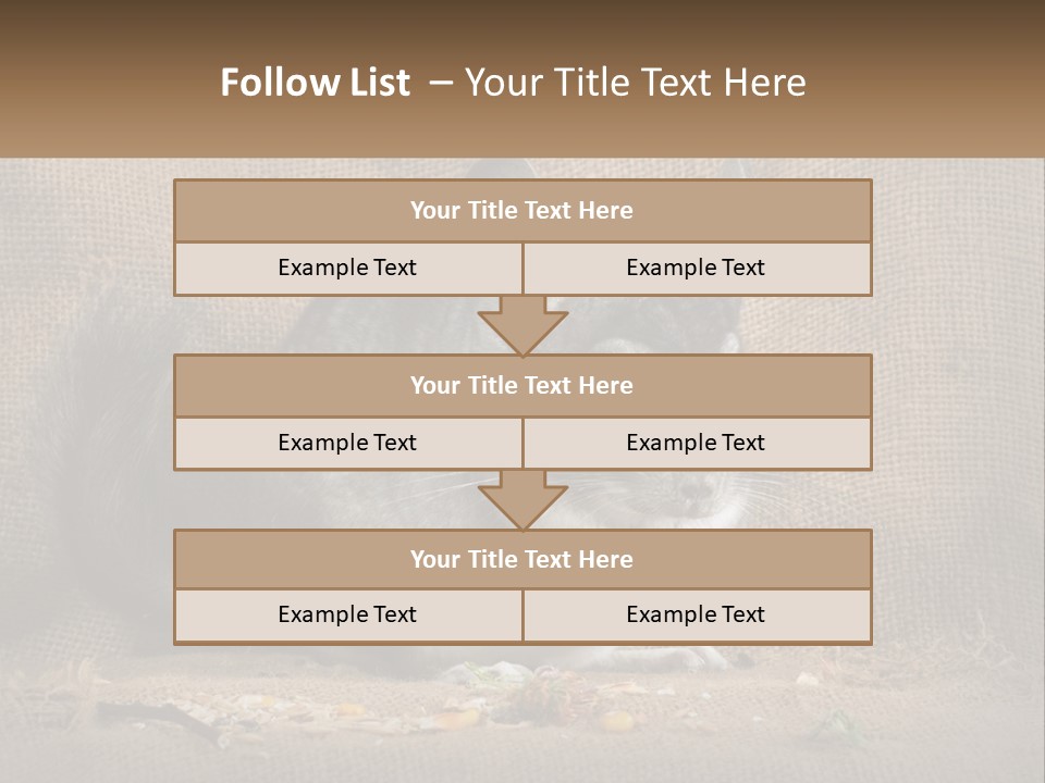 Chinchilla Eats PowerPoint Template