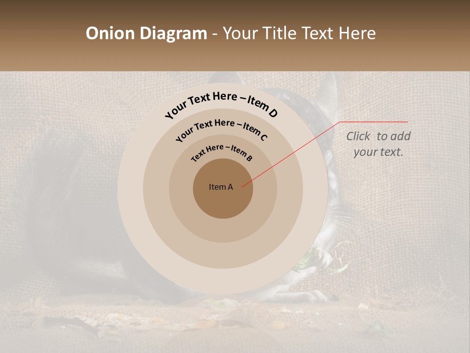 Chinchilla Eats PowerPoint Template