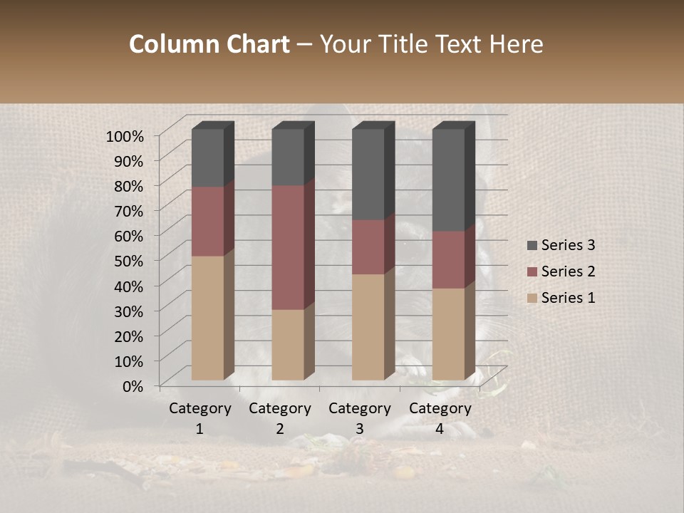 Chinchilla Eats PowerPoint Template