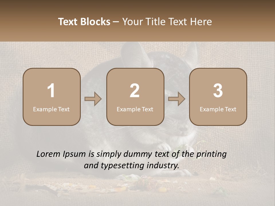 Chinchilla Eats PowerPoint Template