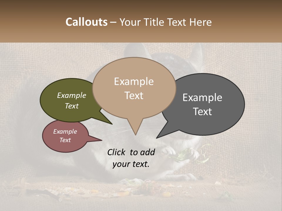 Chinchilla Eats PowerPoint Template