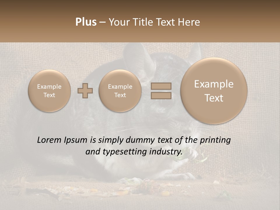 Chinchilla Eats PowerPoint Template