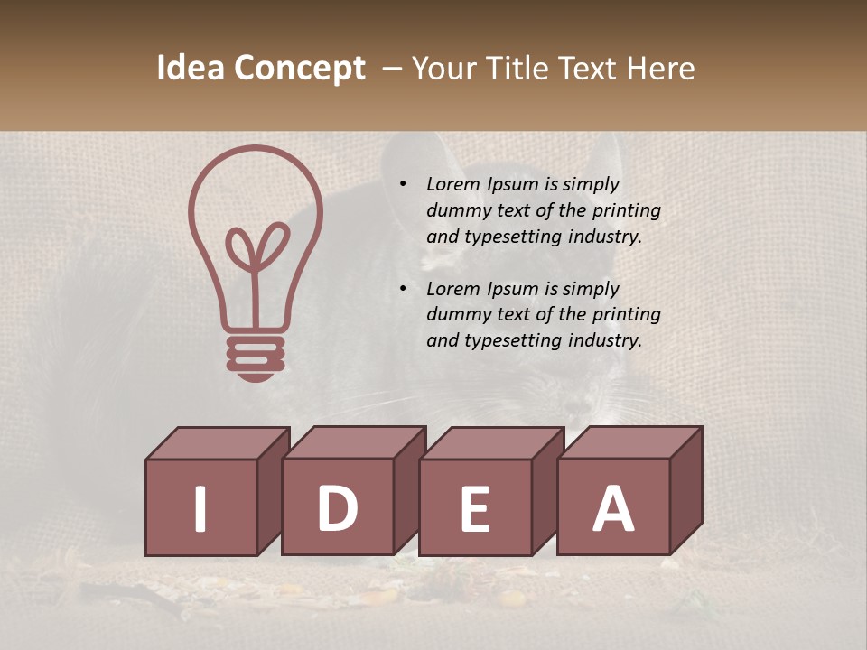 Chinchilla Eats PowerPoint Template