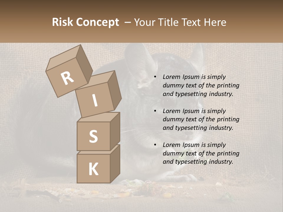 Chinchilla Eats PowerPoint Template