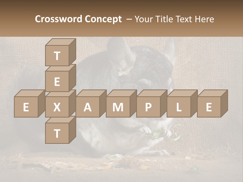 Chinchilla Eats PowerPoint Template