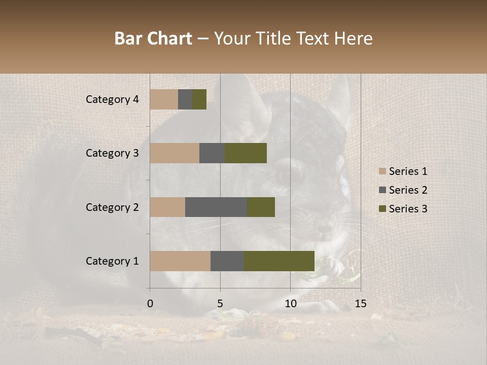 Chinchilla Eats PowerPoint Template