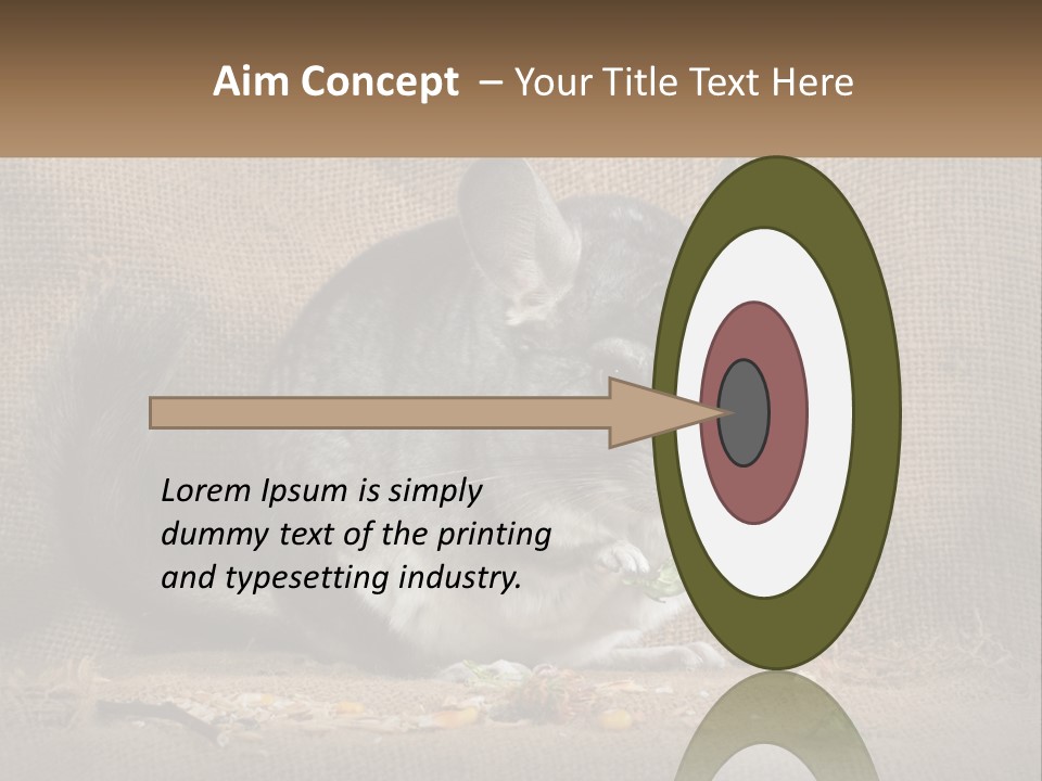 Chinchilla Eats PowerPoint Template