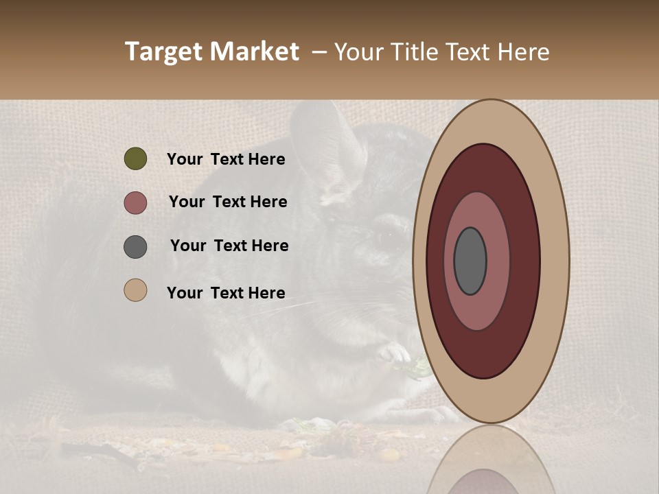 Chinchilla Eats PowerPoint Template