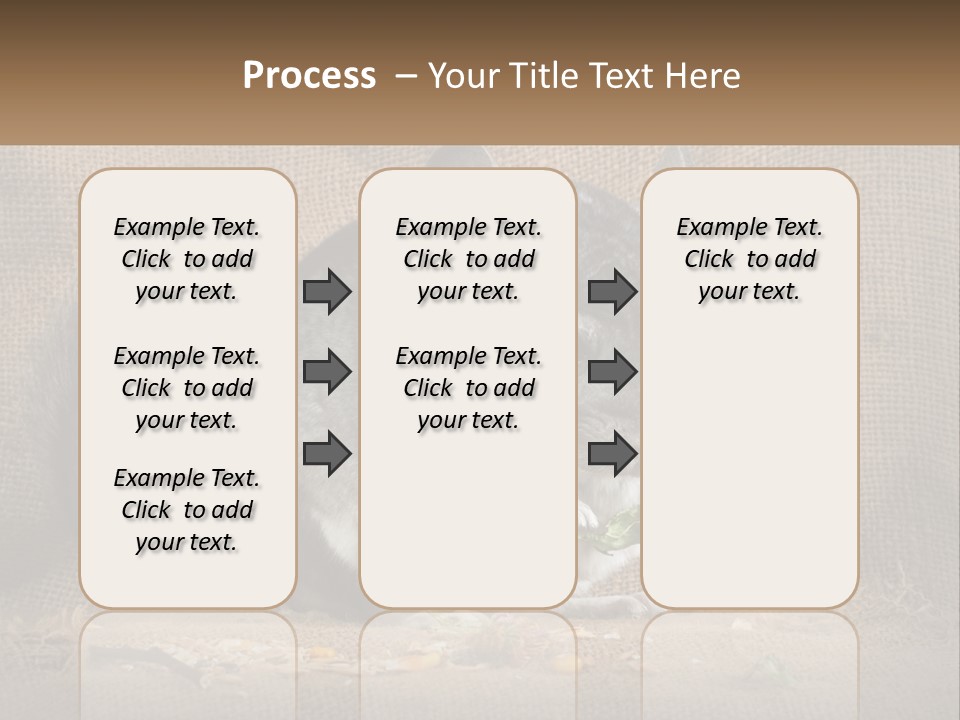 Chinchilla Eats PowerPoint Template