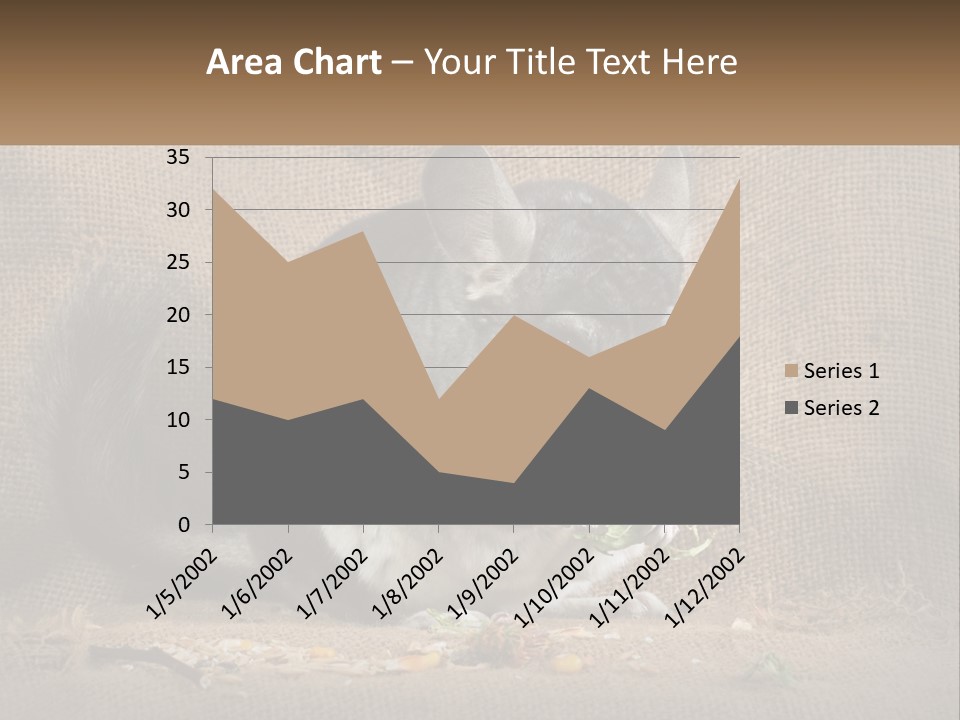 Chinchilla Eats PowerPoint Template