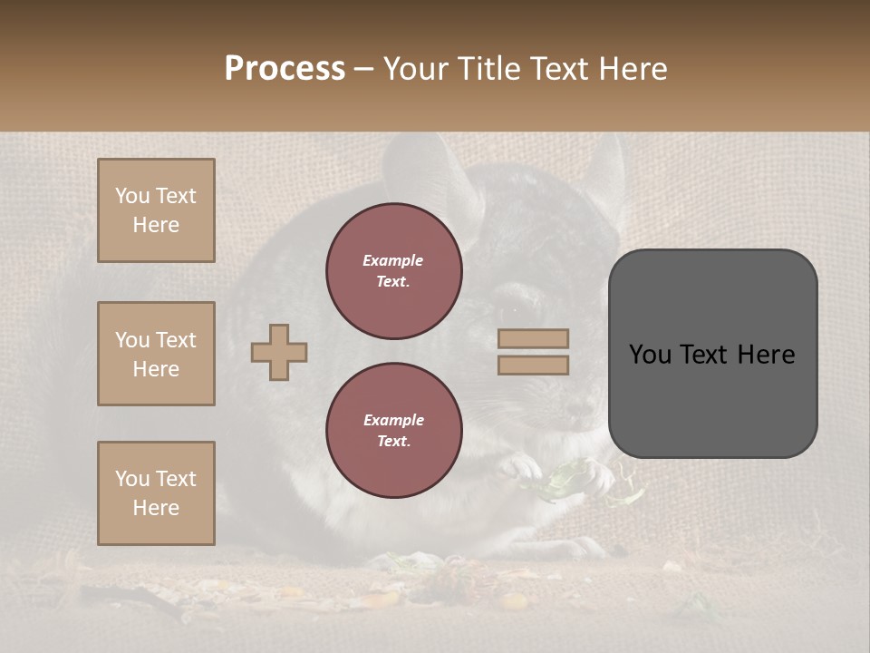 Chinchilla Eats PowerPoint Template