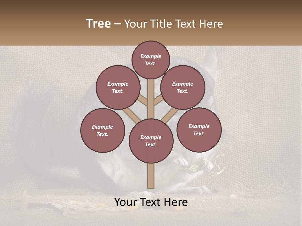 Chinchilla Eats PowerPoint Template