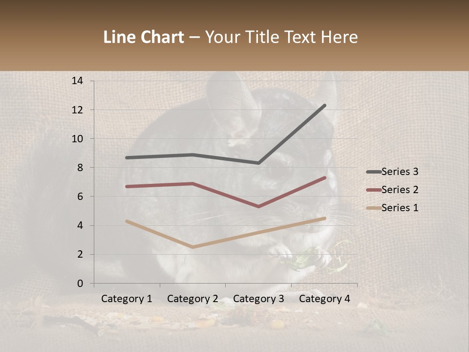 Chinchilla Eats PowerPoint Template