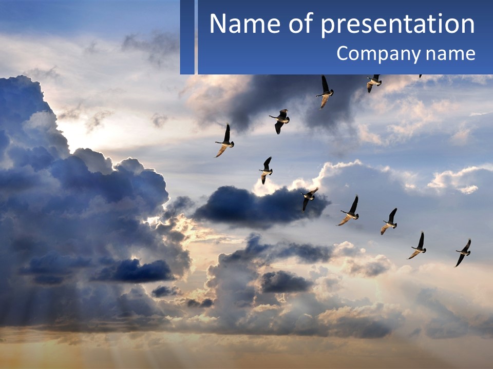 Birds In The Form Of A Key In The Sky PowerPoint Template