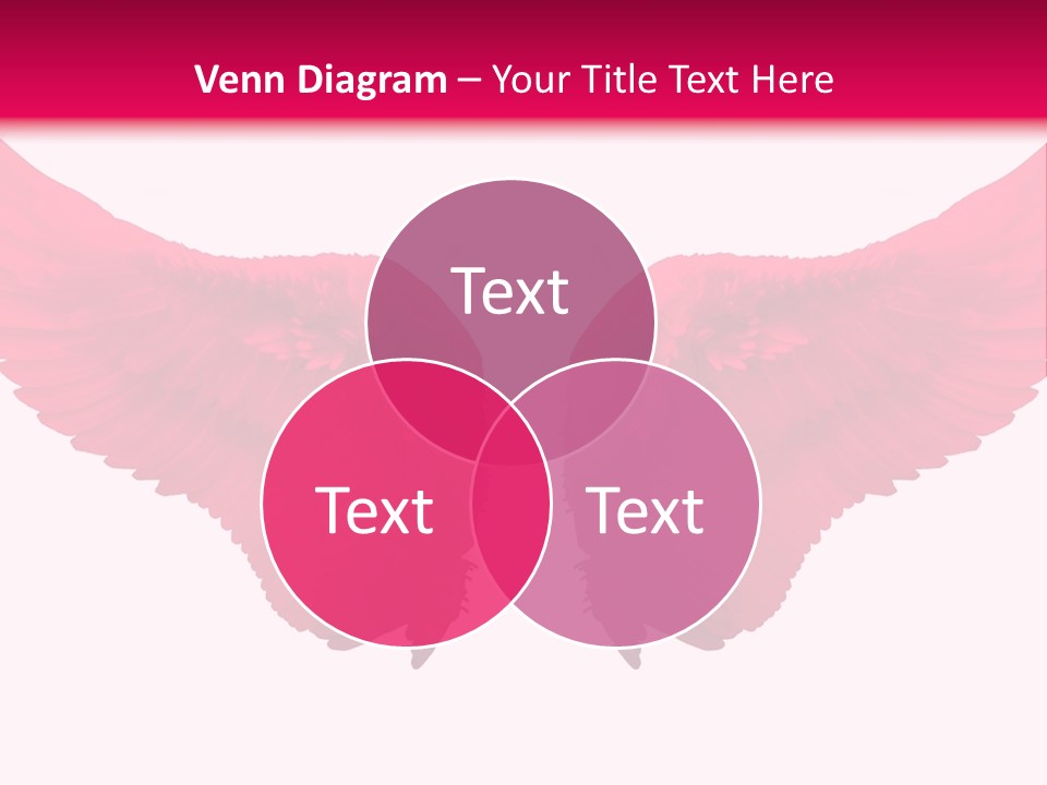 Pink Wings PowerPoint Template