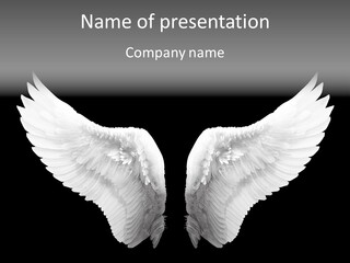 White Wings PowerPoint Template