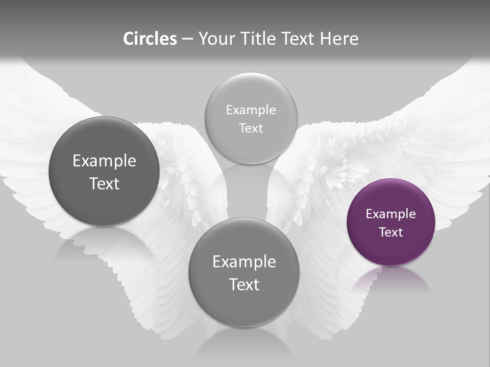 White Wings PowerPoint Template