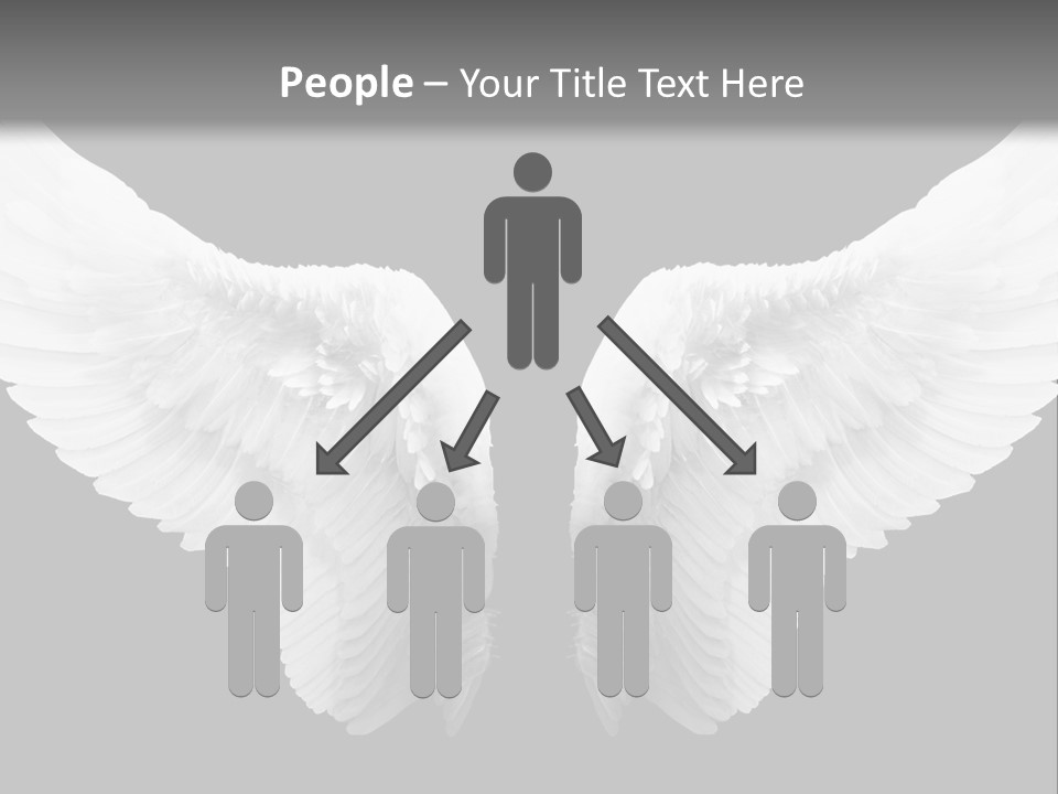 White Wings PowerPoint Template