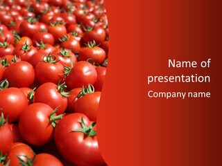 Tomatoes PowerPoint Template
