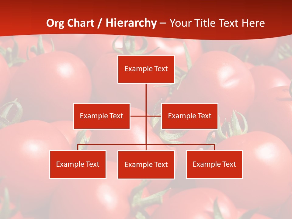 Tomatoes PowerPoint Template
