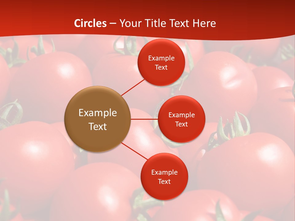 Tomatoes PowerPoint Template