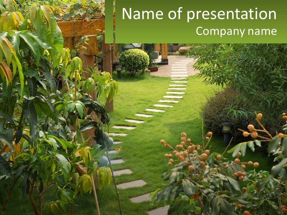 Footpath In The Backyard PowerPoint Template