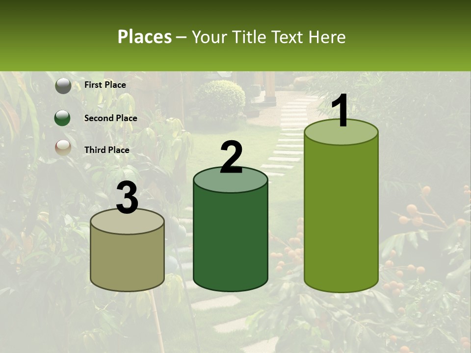 Footpath In The Backyard PowerPoint Template