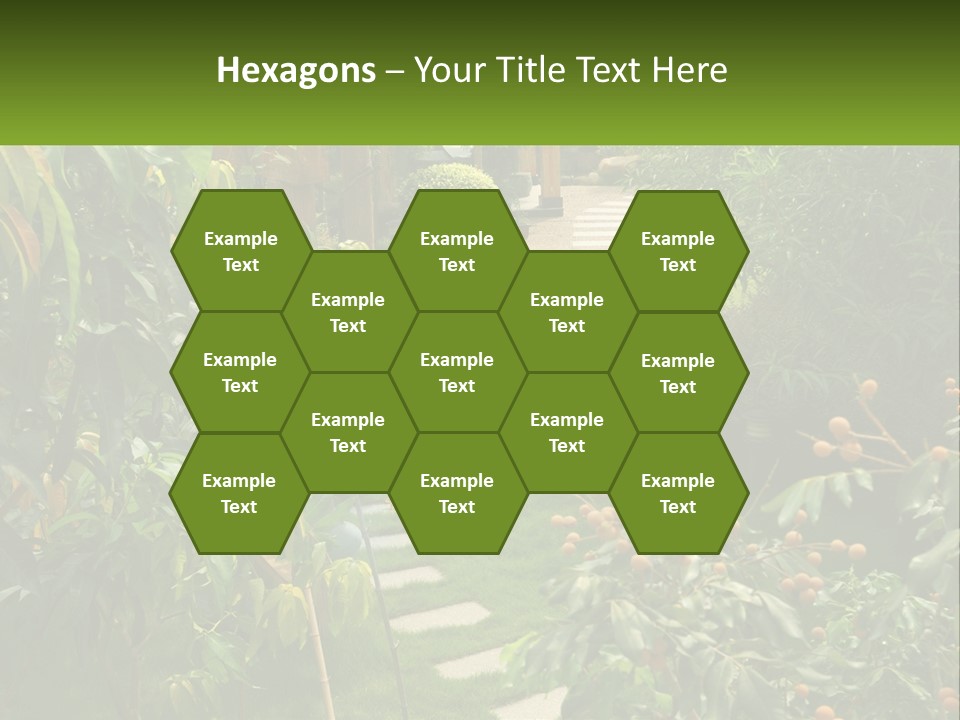 Footpath In The Backyard PowerPoint Template