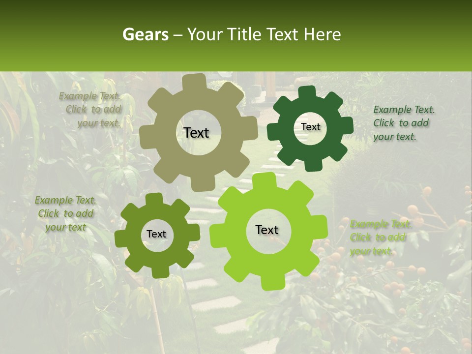 Footpath In The Backyard PowerPoint Template