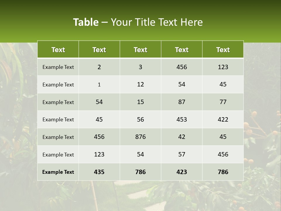 Footpath In The Backyard PowerPoint Template