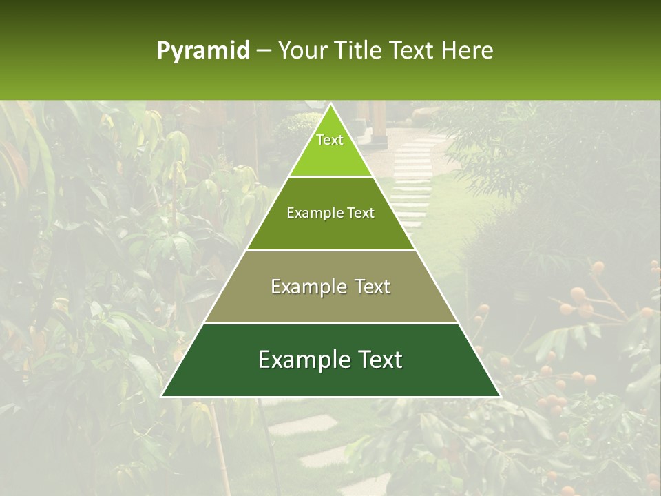 Footpath In The Backyard PowerPoint Template