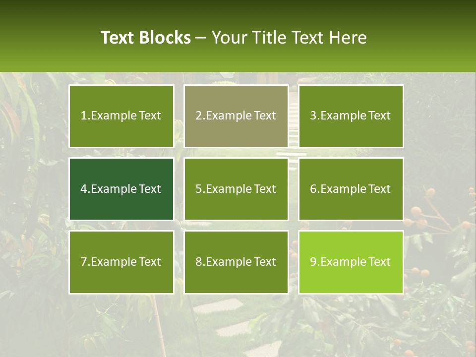 Footpath In The Backyard PowerPoint Template