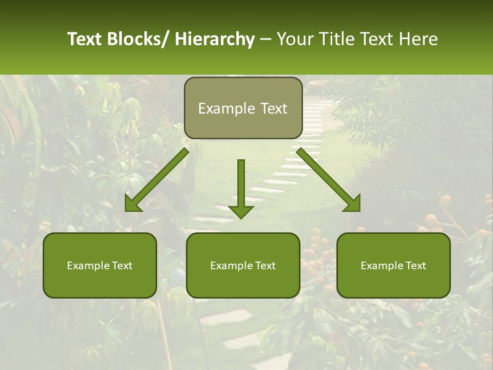 Footpath In The Backyard PowerPoint Template