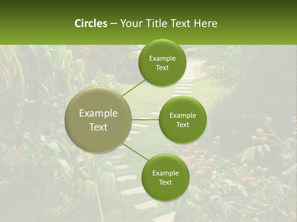 Footpath In The Backyard PowerPoint Template