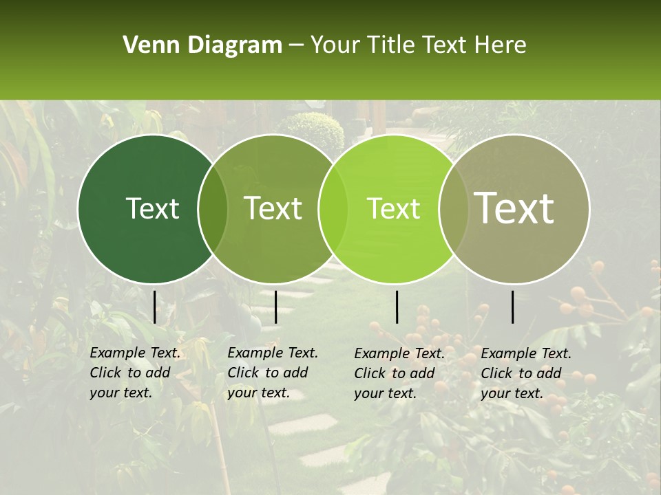 Footpath In The Backyard PowerPoint Template