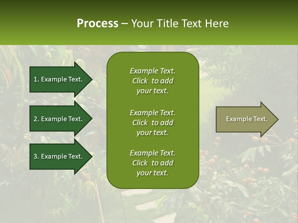 Footpath In The Backyard PowerPoint Template