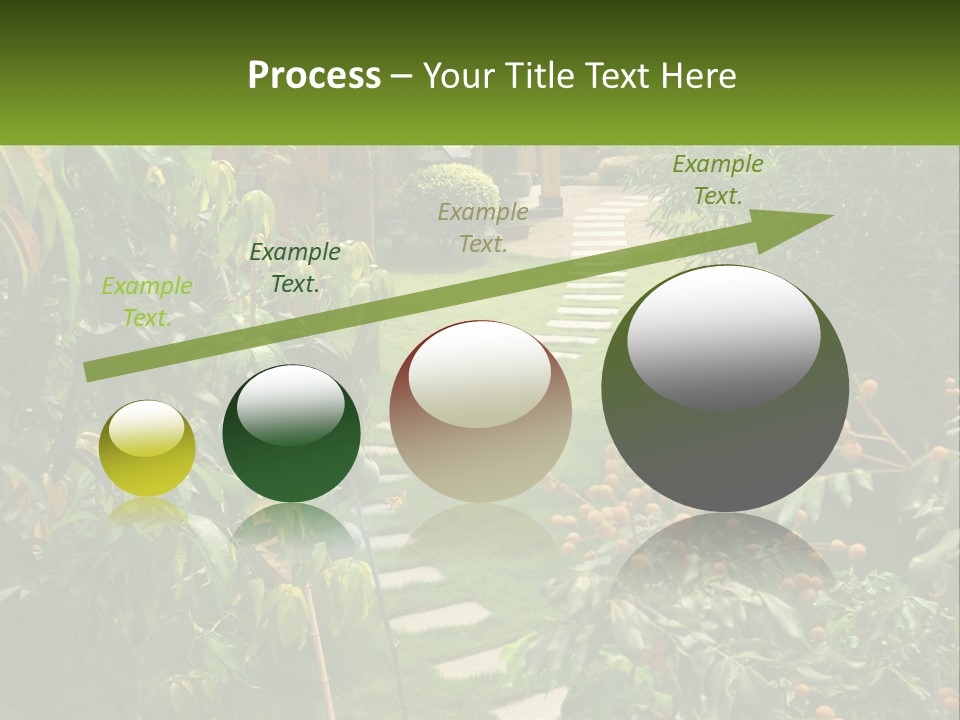 Footpath In The Backyard PowerPoint Template