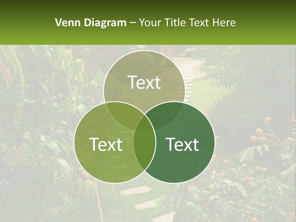 Footpath In The Backyard PowerPoint Template