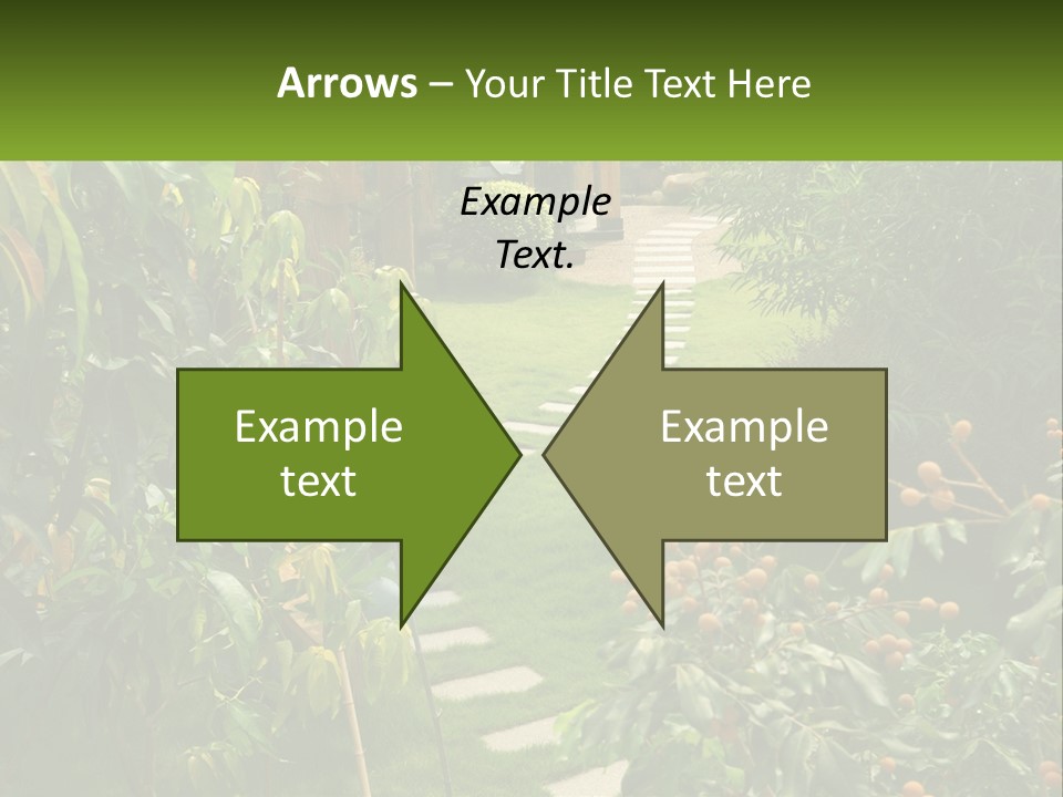 Footpath In The Backyard PowerPoint Template