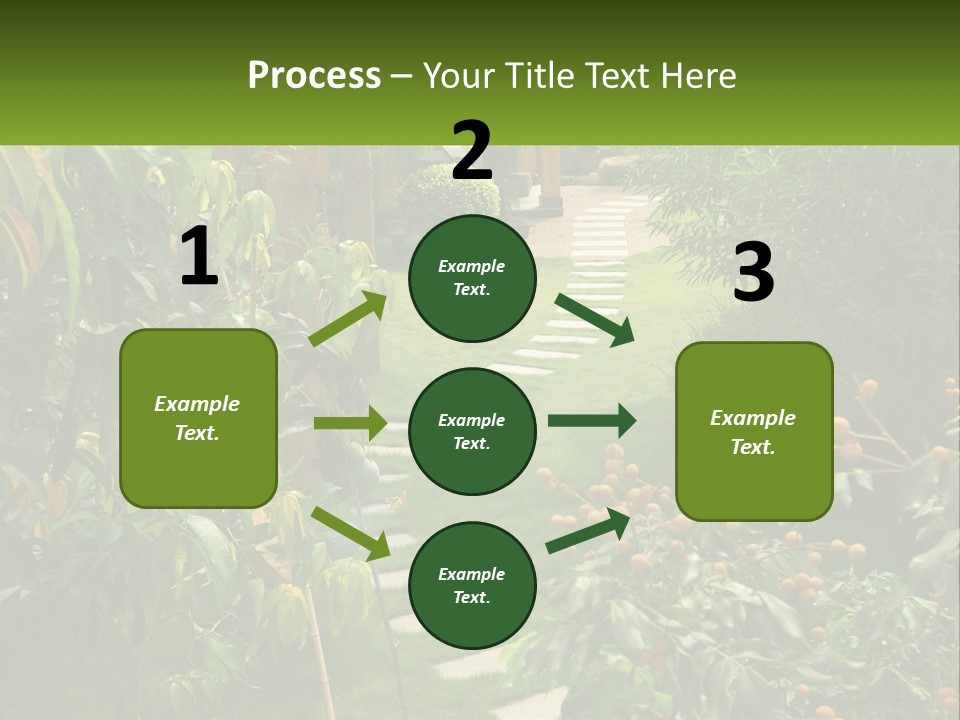Footpath In The Backyard PowerPoint Template
