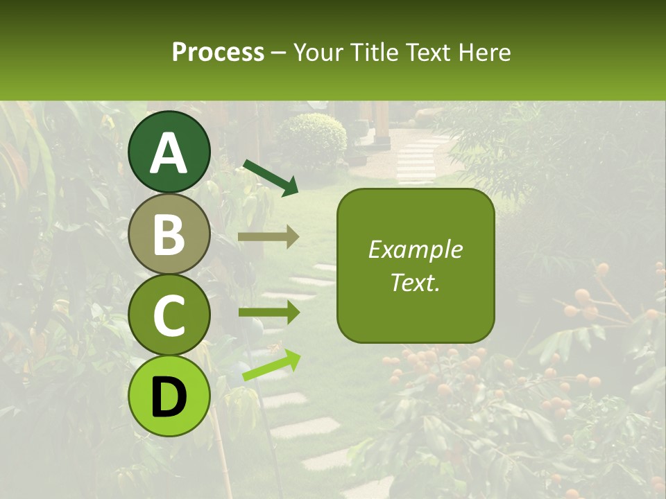 Footpath In The Backyard PowerPoint Template