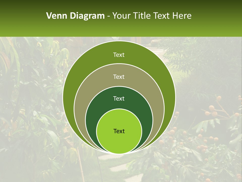 Footpath In The Backyard PowerPoint Template