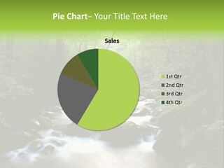 Spring In Dense Forest PowerPoint Template