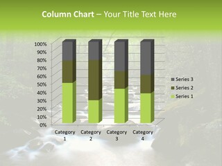 Spring In Dense Forest PowerPoint Template