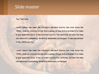 Cat On The Couch PowerPoint Template